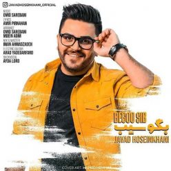 دانلود آهنگ جواد حسین خانی بگو سیب با کیفیت 320